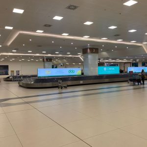 Meet & Assist Arrival